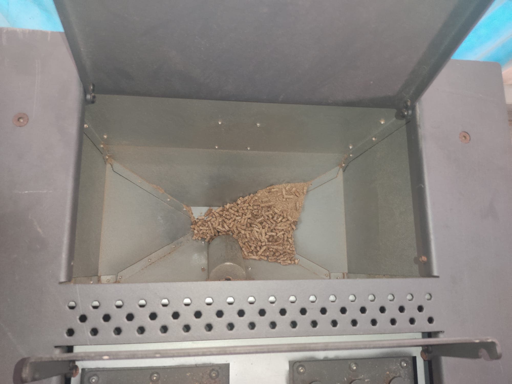 Salamandra a Pellets