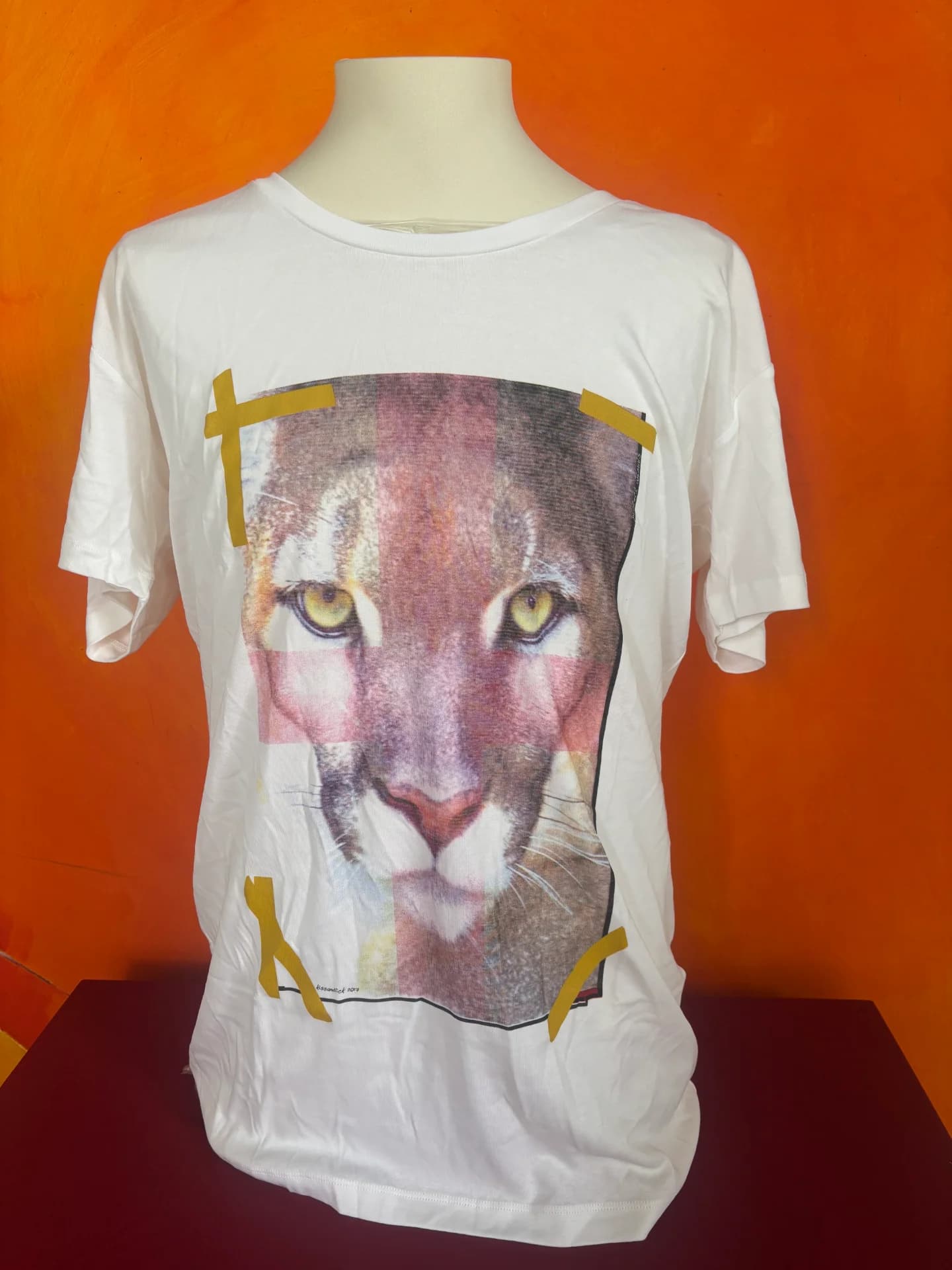 Diversas peças de roupa